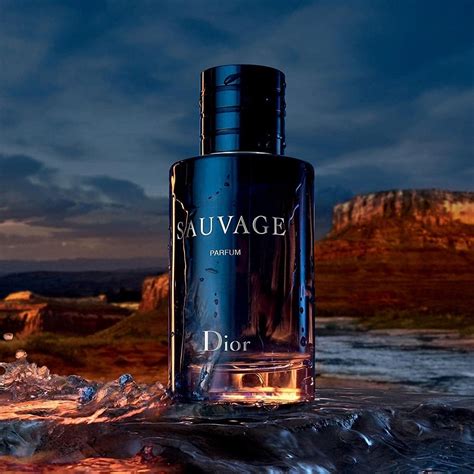 dior sauvage best buy|dior sauvage cheapest price.